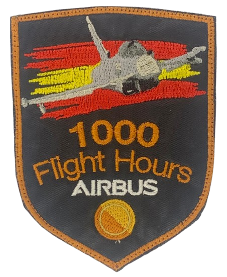 Ala 11 - EuroFighter 1000 Horas