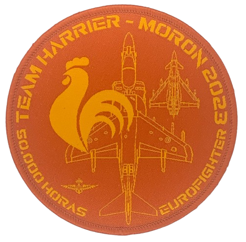 Ala 11 - Harrier Anivesario EuroFighter