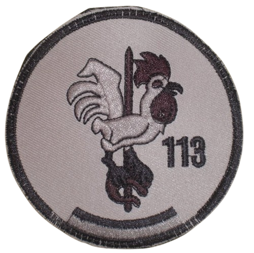 Ala 11 - 113 Escuadrón