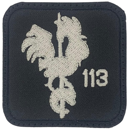 Ala 11 - 113 Escuadrón