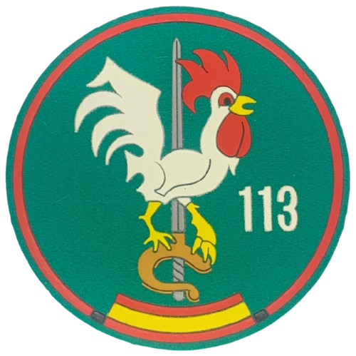 Ala 11 - 113 Escuadrón