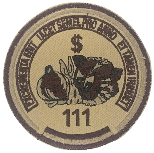 Ala 11 - 111 Escuadrón