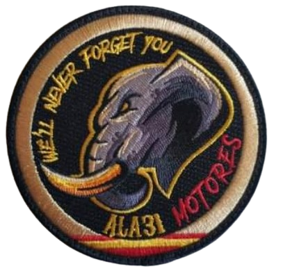 Ala 31 - C-130 Hercules