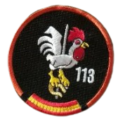 Ala 11 - 113 Escuadrón