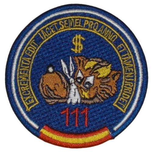 Ala 11 - 111 Escuadrón