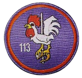 Ala 11 - 113 Escuadrón