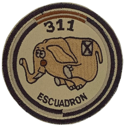 Ala 31 - 311 Escuadrón