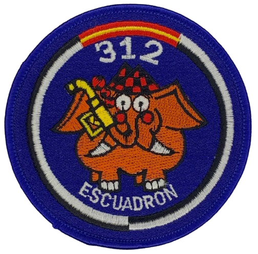 Ala 31 - 312 Escuadrón