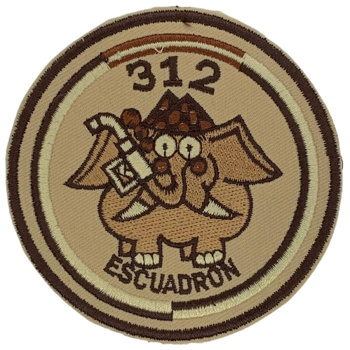 Ala 31 - 312 Escuadrón