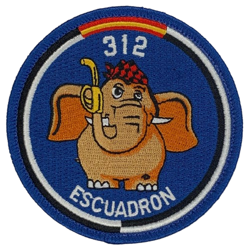 Ala 31 - 312 Escuadrón