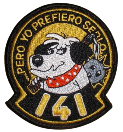 Ala 14 - 141 Escuadrón