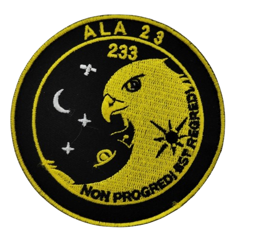 Ala 23 - 233 Escuadrón