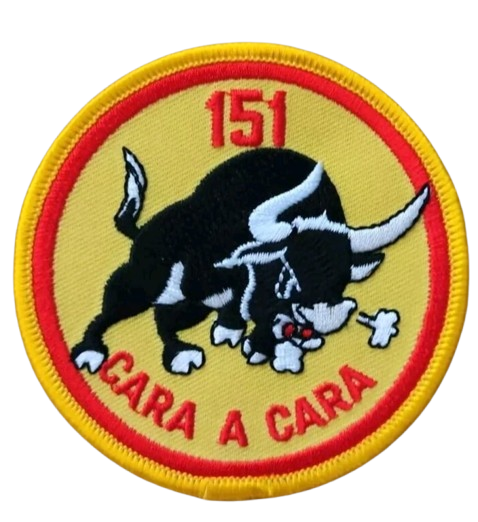 Ala 15 - 151 Escuadrón