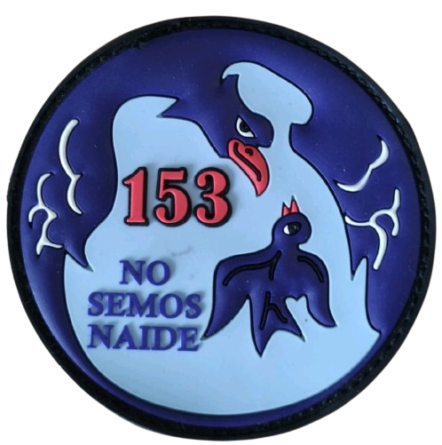 Ala 15 - 153 Escuadrón