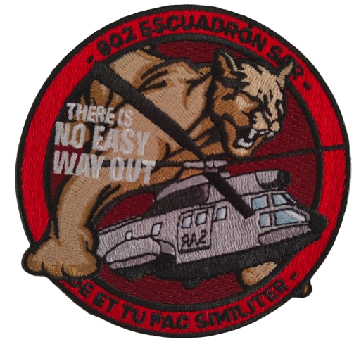802 Escuadrón - There Is No Easy Way Out