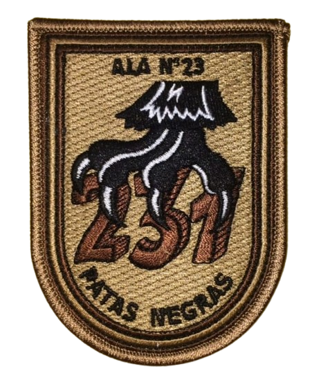 Ala 23 - 231 Escuadrón