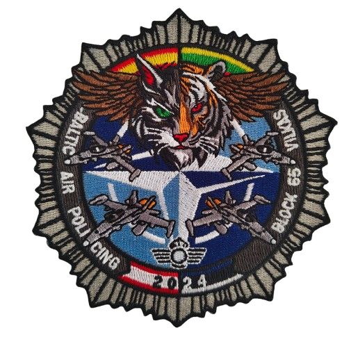 Ala 12 / 15 – Destacamento Vilkas Block 65 – 2024