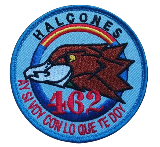 Ala 46 - 462 Escuadrón