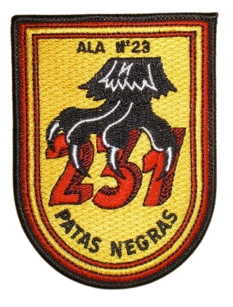 Ala 23 - 231 Escuadrón
