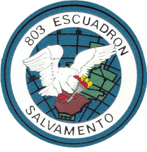 Ala 48 - 803 Escuadrón - Emblema