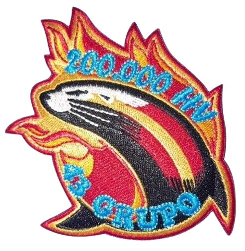 Grupo 43 - 200.000 Horas de Vuelo