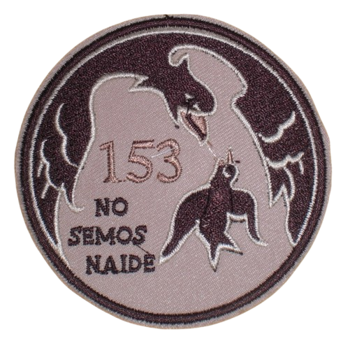 Ala 15 – 153 Escuadrón