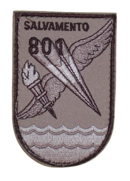 Ala 49 – 801 Escuadrón - Emblema
