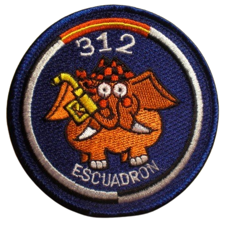 Ala 31 – 312 Escuadrón
