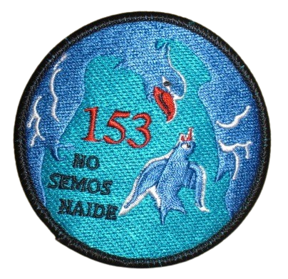 Ala 15 – 153 Escuadrón
