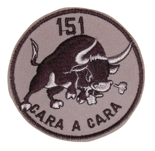 Ala 15 – 151 Escuadrón
