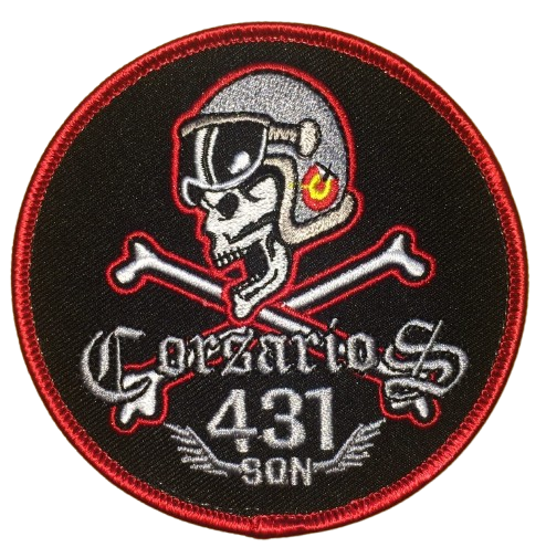 Grupo 43 – 431 Escuadrón