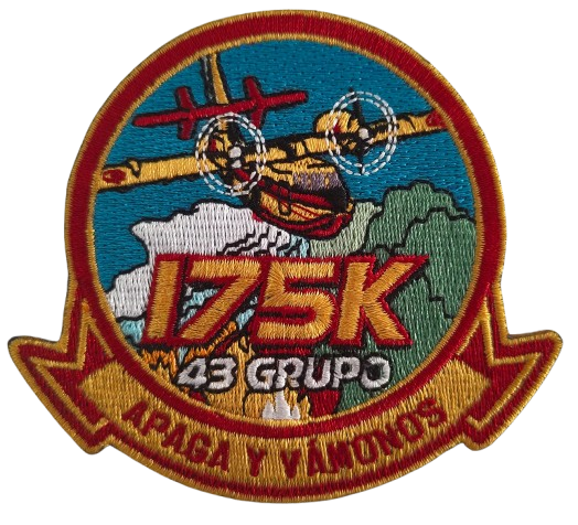 Grupo 43 - 175.000 Horas de Vuelo