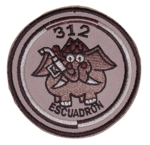 Ala 31 – 312 Escuadrón