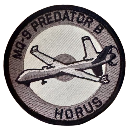 Ala 23 - MQ-9 Reaper