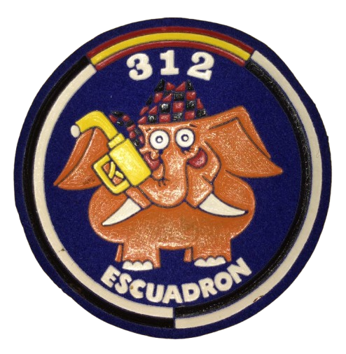 Ala 31 – 312 Escuadrón