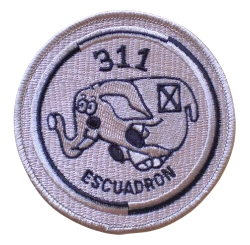 Ala 31 – 311 Escuadrón