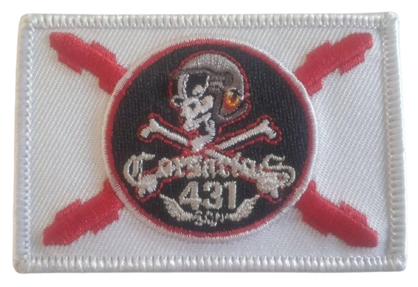 Grupo 43 – 431 Escuadrón