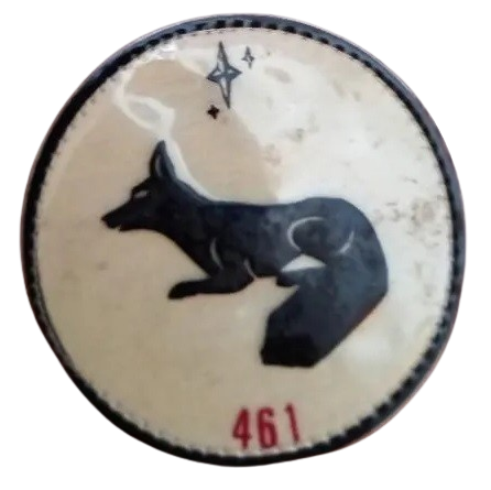 Ala 46 - 461 Escuadrón