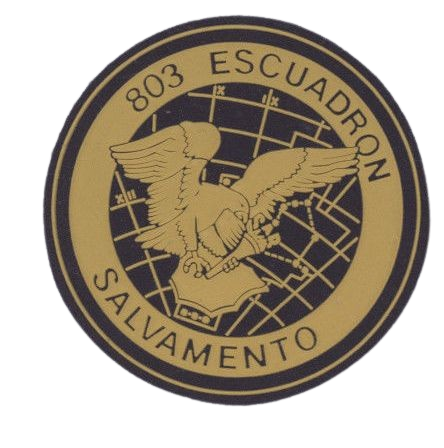 Ala 48 - 803 Escuadrón - Emblema
