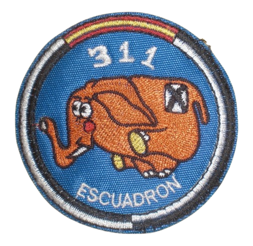 Ala 31 – 311 Escuadrón