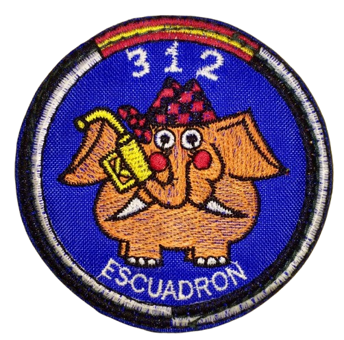 Ala 31 – 312 Escuadrón